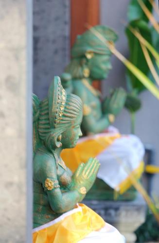vila padma bali a trishula collection