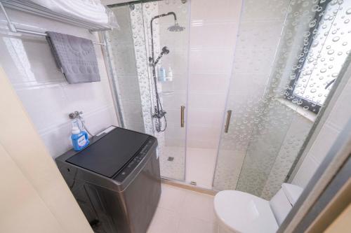 tyms 2br apt xujiahui dacheng residence