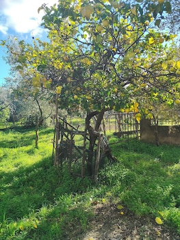 holiday calabria rooms