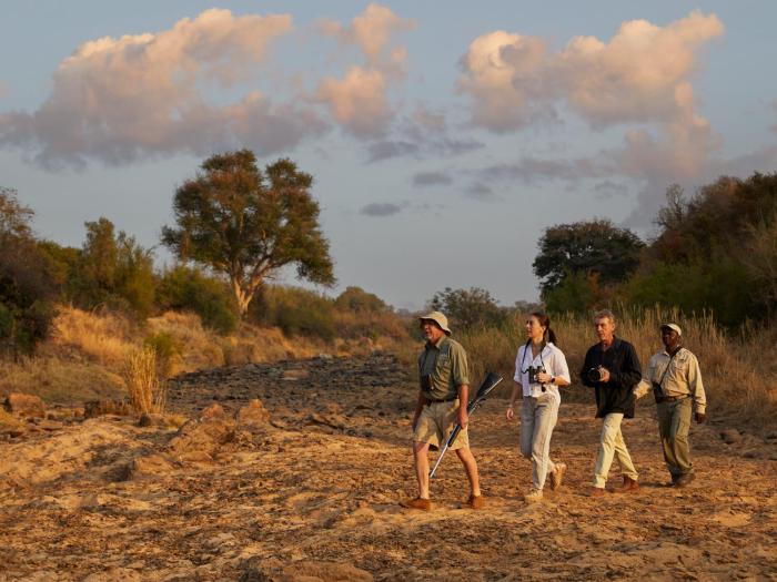 makalali game reserve