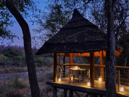 makalali game reserve