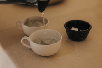 shizen wellness hotel