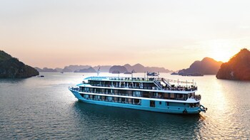 dragon premium cruise