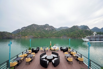 dragon premium cruise