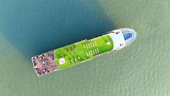 dragon premium cruise