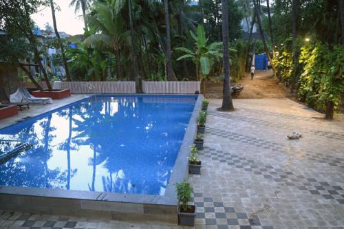 aqua nova resort