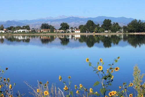 windshire retreat pool garage and pet friendly