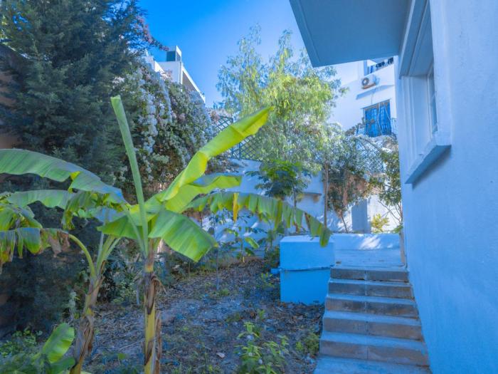 windmill hostel