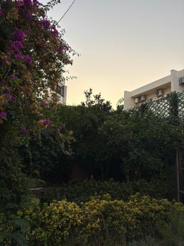 windmill hostel