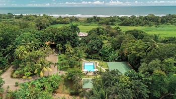 parrita