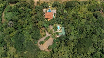 parrita