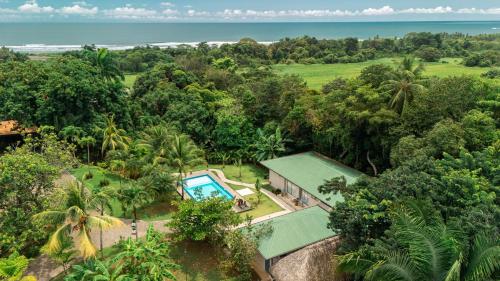 parrita