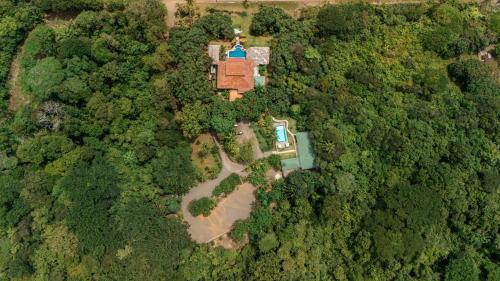 parrita