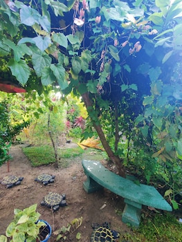 mirissa