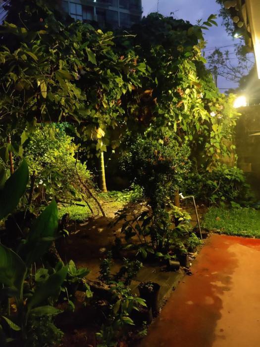 samuu homestay