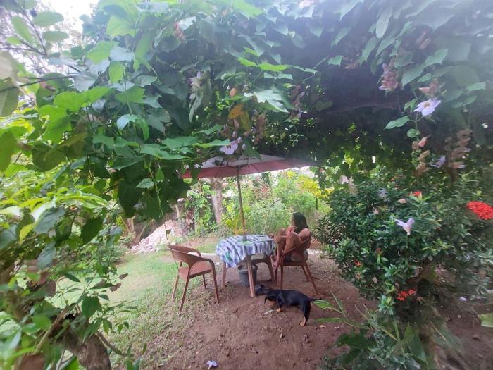samuu homestay