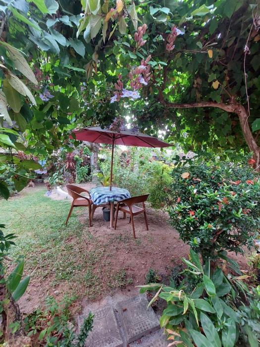 samuu homestay