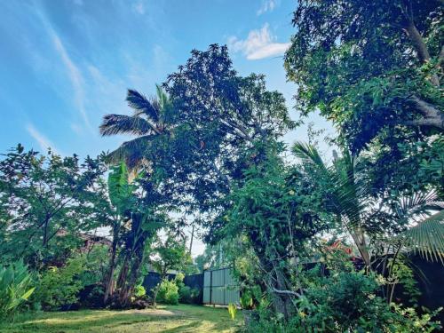 samuu homestay