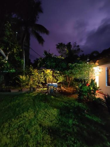samuu homestay