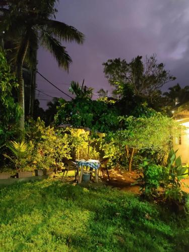 samuu homestay