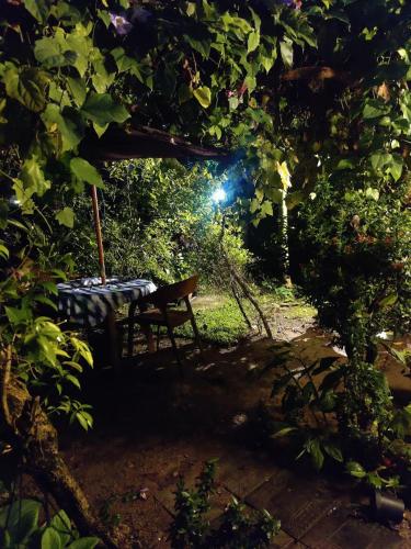 samuu homestay