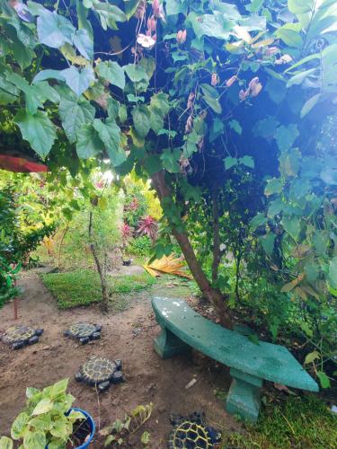 samuu homestay