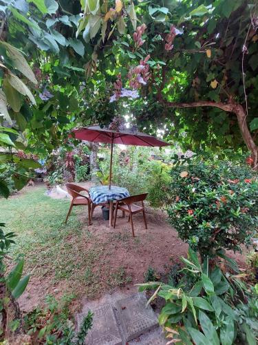 samuu homestay