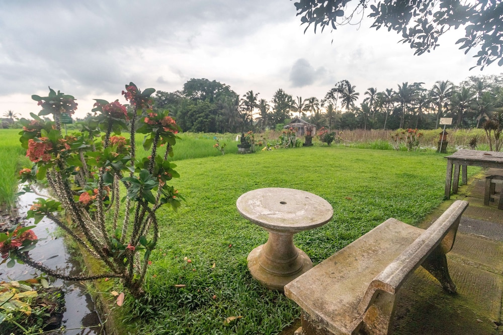 umasari rice terrace villa