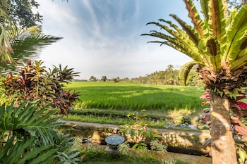 Umasari Rice Terrace Villa,Bali>>Badung,4 star