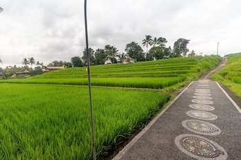 Umasari Rice Terrace Villa,Bali>>Badung,4 star