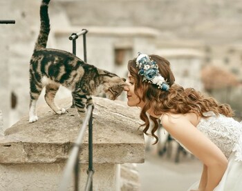 phocas cave suites special class