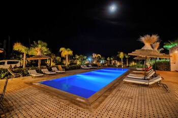 riad tammam