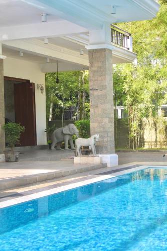 tropical terrace negombo