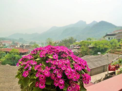 sapa local house