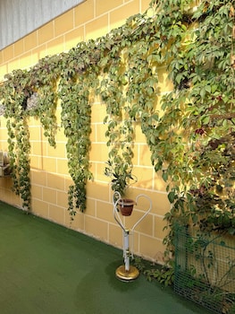 saturn garden