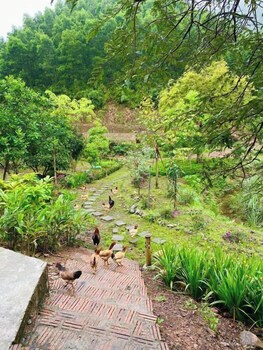 hao huc village