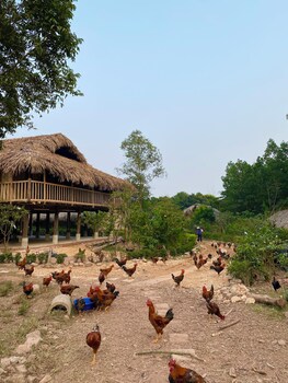hao huc village