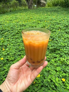 hao huc village
