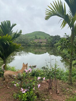 Hao Huc Village,,4 star