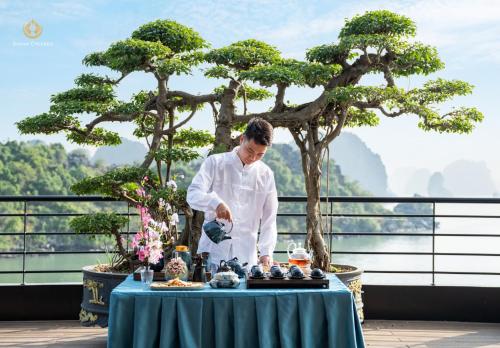 diana cruises halong bay luxury by venus group