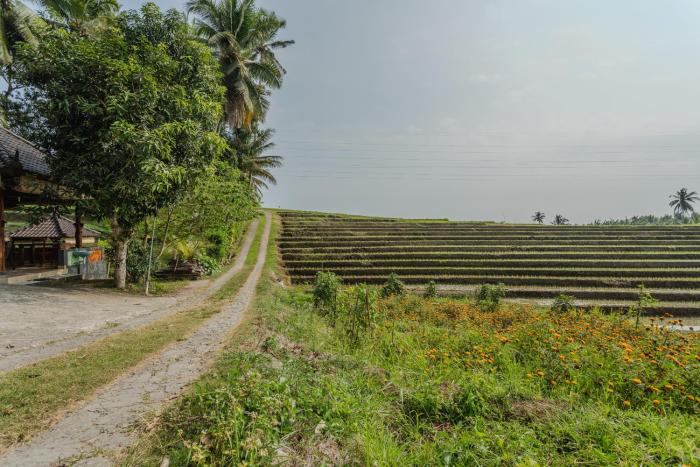 pondok hari baik