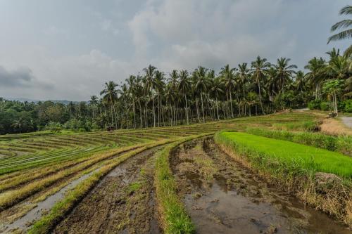 pondok hari baik