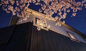 kanazawaya motogikucho