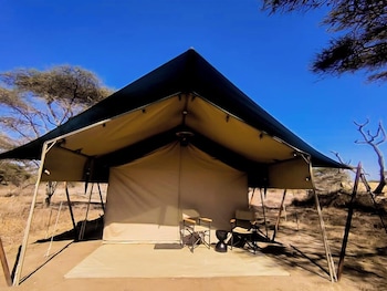 malaika mara river migration camp