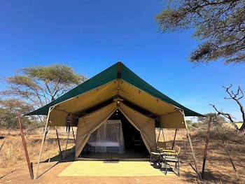 malaika mara river migration camp