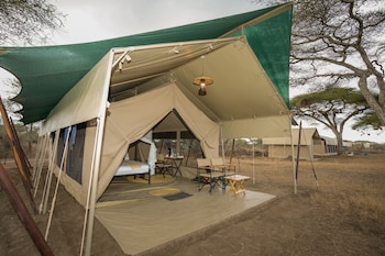 malaika mara river migration camp