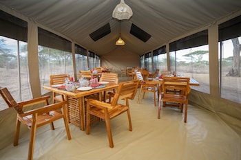 malaika mara river migration camp