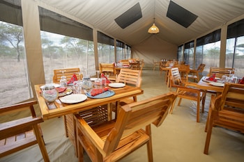 malaika mara river migration camp