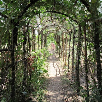 oreteti mara lodge