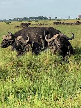 oreteti mara lodge